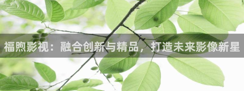 桔子圖片下載：福煦影視：融合創(chuàng)新與精品，打造未來影像新星