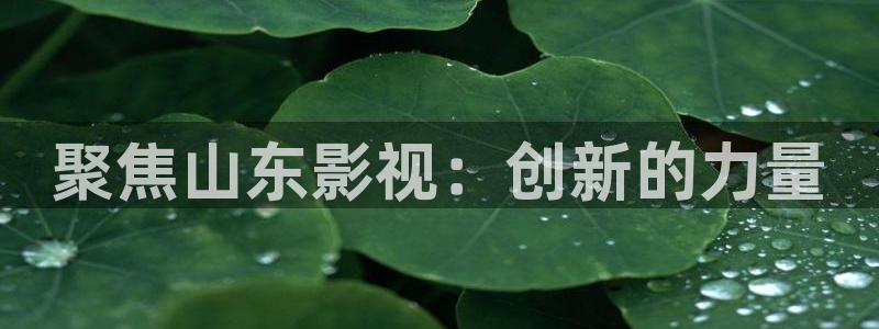 桔子免費視頻：聚焦山東影視：創新的力量