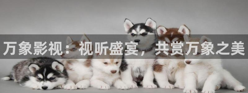 桔子的視頻：萬象影視：視聽盛宴，共賞萬象之美