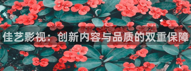 桔子一tv：佳藝影視：創新內容與品質的雙重保障
